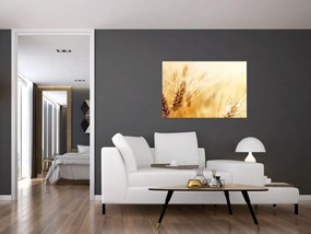 Tablou- detaliu cu (90x60 cm)