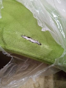 OFERTA Scaun catifea verde deschis LAVA II. calitate secundara