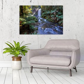Tablou cu pădurea ploilor din Austalia (90x60 cm)