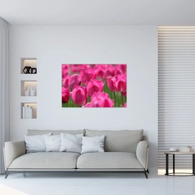 Tablou - Lalele roz (90x60 cm)