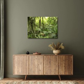Tablou - Pădure tropicală (70x50 cm)