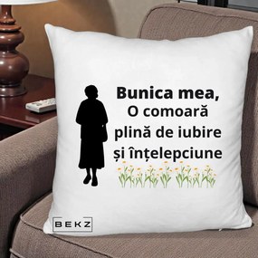 Cadou pentru Bunica - Perna Personalizata Bunica Mea Comoara Iubire Intelepciune Silueta cu Nepoata, 40x40 cm, Alb Pufos, Husa Detasabila, Perna Inclusa, BEKZ®