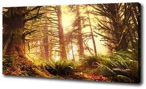Tablou canvas Pădurea tropicală