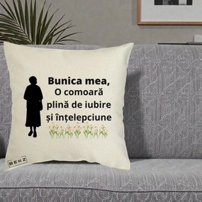 Cadou pentru Bunica - Perna Personalizata Bunica Mea Comoara Iubire Intelepciune Silueta cu Nepoata, 40x40 cm, Ecru, Husa Detasabila, Perna Inclusa, BEKZ®