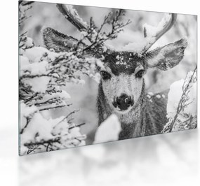 Tablou pe sticlă - Cerb în timpul iernii (70x50 cm)