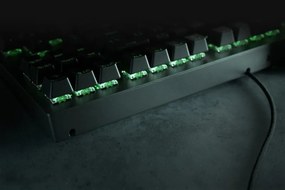 KB Razer BlackWidow V3 10keyless GreenSW