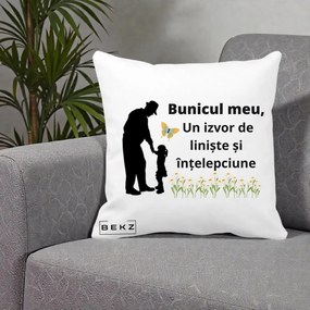 Cadou pentru Bunic - Perna Personalizata Bunicul Meu Izvor de Liniste cu Fluture si Fetita, 40x40 cm, Alba Mata, Husa Detasabila, Perna Inclusa, BEKZ®