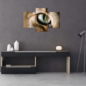 Tablou - Ochi de pisică (90x60 cm)