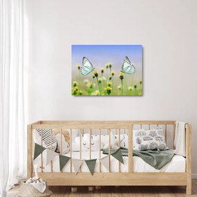 Tablou pe sticlă cu fluture pe floare (70x50 cm)