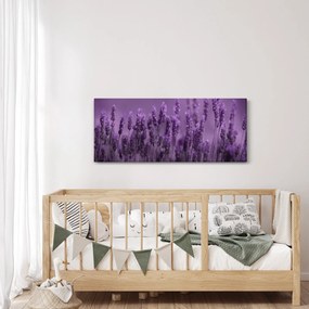 Tablou - Lavanda (120x50 cm)