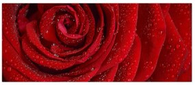 Tablou - detaliu de trandafir (120x50 cm)