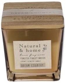 Lumânare parfumată cu capac Frosted Forest Breeze, 10 x 10 x 10 cm