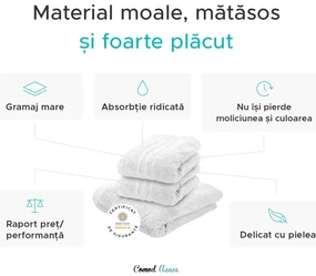 Prosop Comfort 50 x 100 cm verde deschis, 100% bumbac