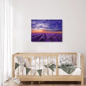 Tablou pe sticlă câmpului cu lavandă (70x50 cm)