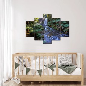Tablou cu pădurea ploilor din Austalia (150x105 cm)