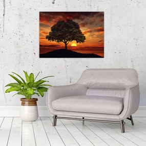 Tablou cu pomi și apus de soare (70x50 cm)