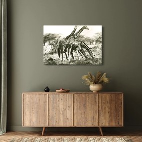 Tablou - Girafe, de epocă (90x60 cm)