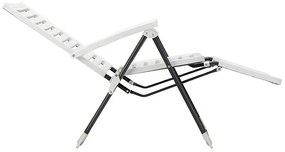 Scaun de grădină pliabil cu suport pentru picioare