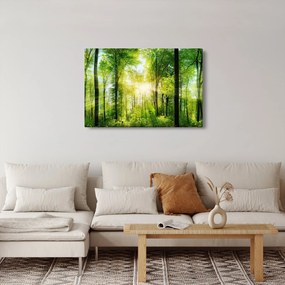 Tablou - Răsărit în pădure (90x60 cm)
