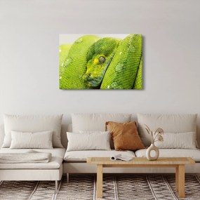 Tablou cu șarpe (90x60 cm)