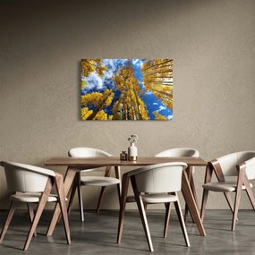 Tablou - Aspen (90x60 cm)