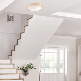 Plafonieră NATURAL SLIM 2xE27/60W/230V ø 37 cm pin