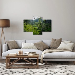 Tablou cu terasele cu orez Tegalalang, Bali (90x60 cm)