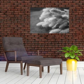 Tablou - iarbă de coadă de iepure pe masă (90x60 cm)