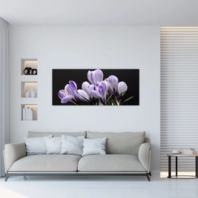 Tablou - Crocus violet (120x50 cm)