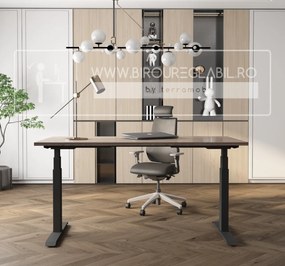 Birou reglabil pe inaltime TerrA7 BLACK- 2 motoare, profil dreptunghiular, Negru (Dimensiune blat: 137x67 cm, Culoare blat: Negru 25mm)
