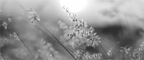 Tablou - Pajiște de toamnă (120x50 cm)