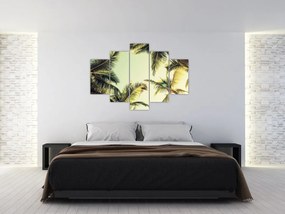 Tablou - Palmieri de cocos (150x105 cm)