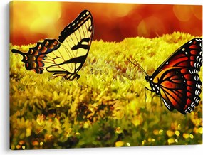 Tablou cu fluturi (70x50 cm)