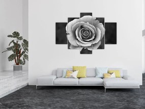 Tablou - Trandafir (150x105 cm)