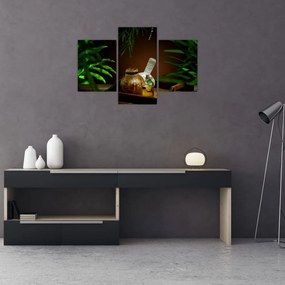 Tablou cu obiectele spa (90x60 cm)