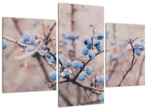 Tablou cu fructe pe tufiș (90x60 cm)