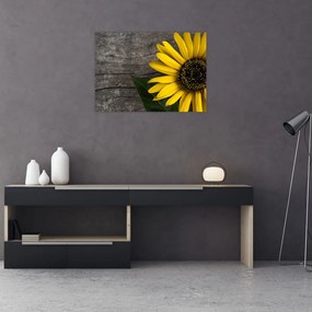 Tablou pe sticlă - Floare de floarea soarelui (70x50 cm)