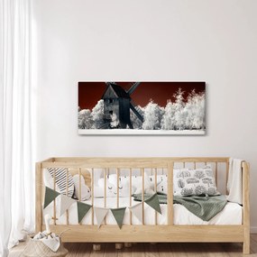 Tablou cu moară (120x50 cm)