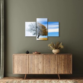Tablou - Schimbarea anotimpurilor (90x60 cm)