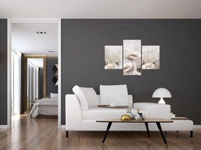 Tablou - Tufe roz (90x60 cm)