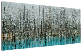 Tablou - Pescărie turcoaz, Biei, Japonia (120x50 cm)