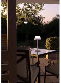 Lampă LED RGBW dimabilă de exterior Eglo 900979 MEGGIANO 1,5W/5V IP54 mov