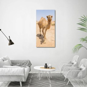 Fotografie imprimată pe sticlă Camel în deșert