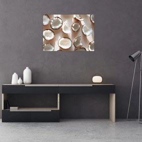 Tablou pe sticlă - Nuci de cocos (70x50 cm)