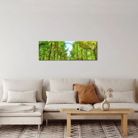 Tablou - Privire spre pădure (cu ceas) (90x30 cm)