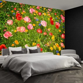 Fototapet Flori Meadow