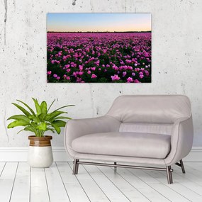 Tablou - Pajiștea cu lalele violet (90x60 cm)