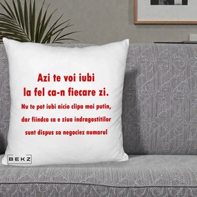 Cadou pentru Iubita - Perna Personalizata Azi Te Voi Iubi, 40x40 cm, Alb Pufos, Husa Detasabila, Perna Inclusa, BEKZ®