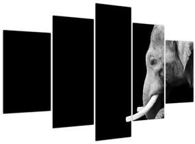 Tablou - Elefant (150x105 cm)