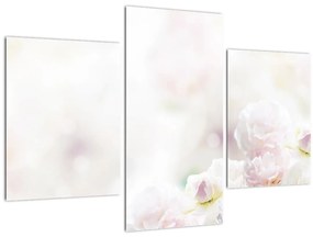 Tablou cu flori fragede (90x60 cm)